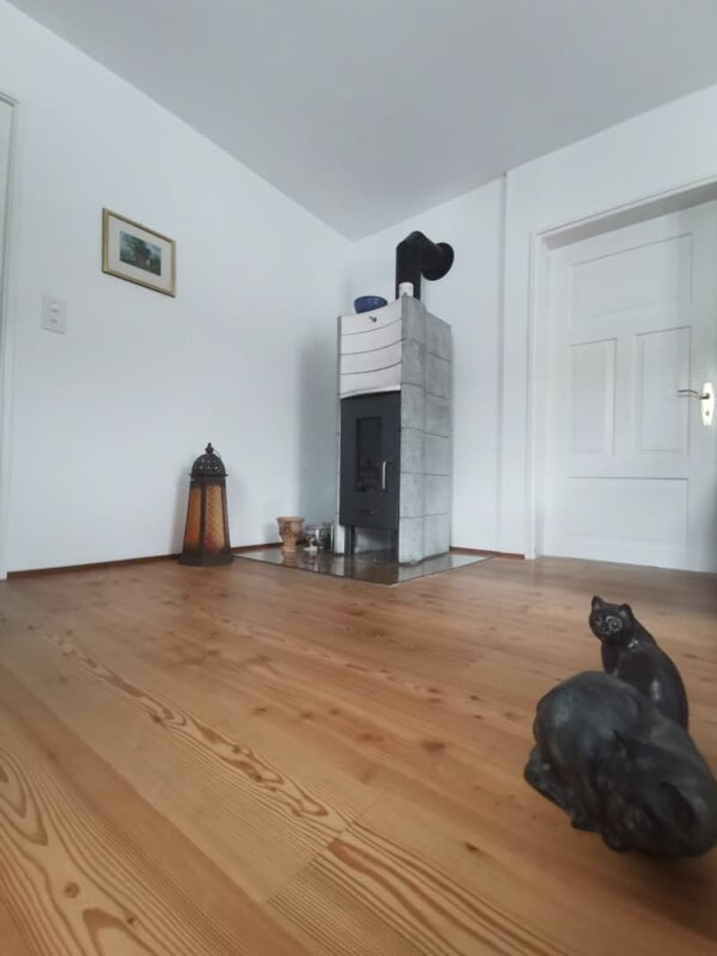 Appartement 3.5 pièces avec vue à couper le souffle à Cazis (6)