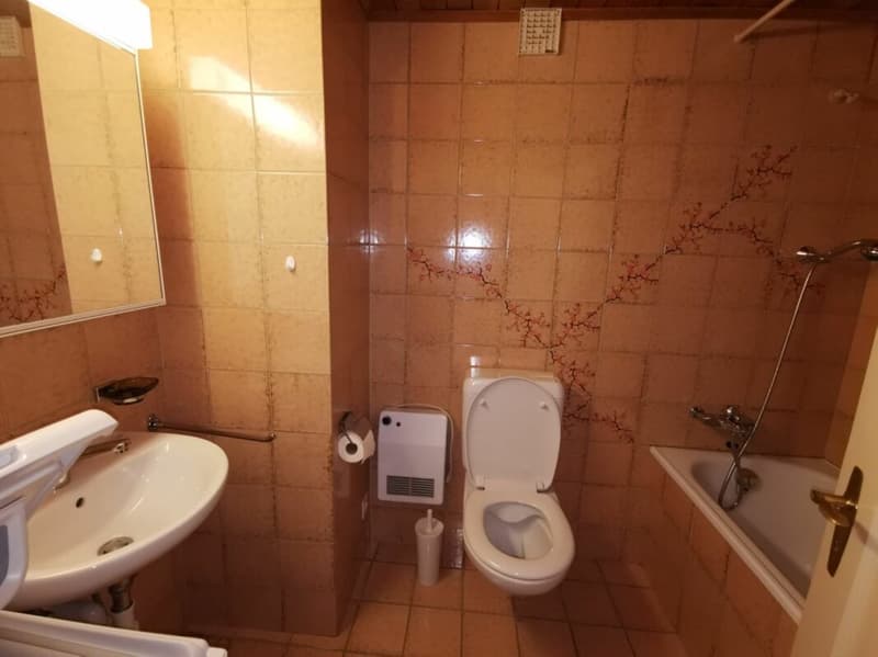 Appartement 3.5 pièces avec vue à couper le souffle à Cazis (4)