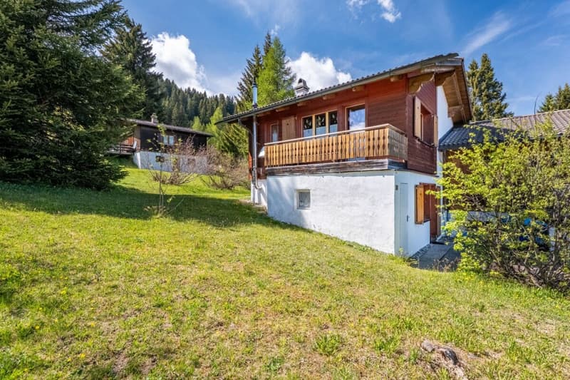 Brambrüesch: 3.5 Room Holiday Home for Your Time Out in the Mountains (2)