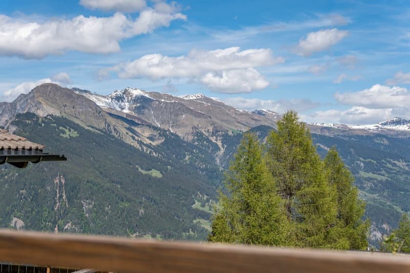Brambrüesch: 3.5 Room Holiday Home for Your Time Out in the Mountains (11)