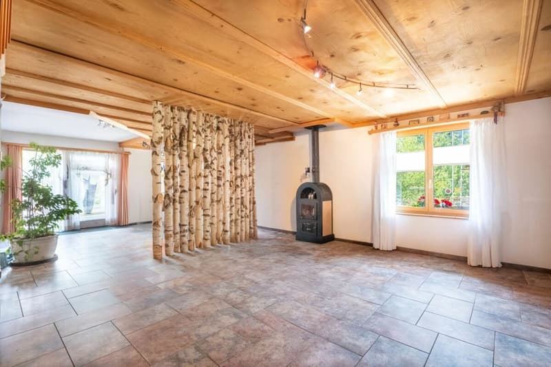 6.5-room single-family house with diverse possibilities (2)