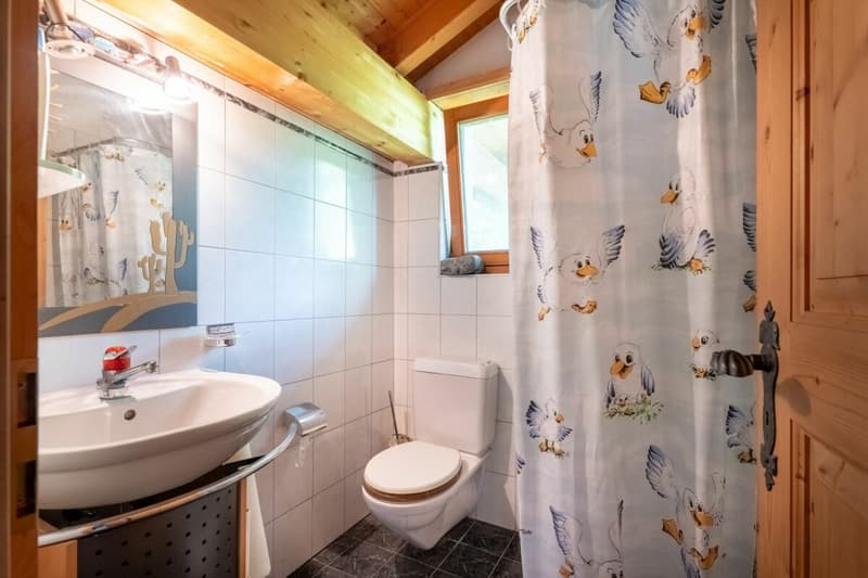 6.5-room single-family house with diverse possibilities (10)