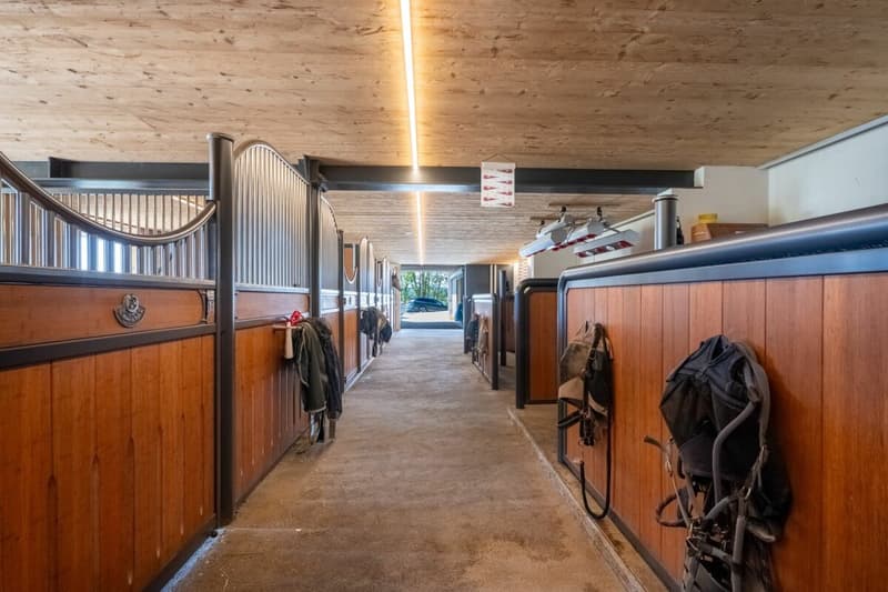 Einmaliges Reitsportanwesen in Oberramsern (10)