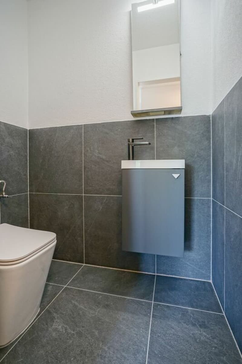 Nouveau confort de vie dans le vert - appartement de 4,5 pièces rénové avec vue lointaine (3)