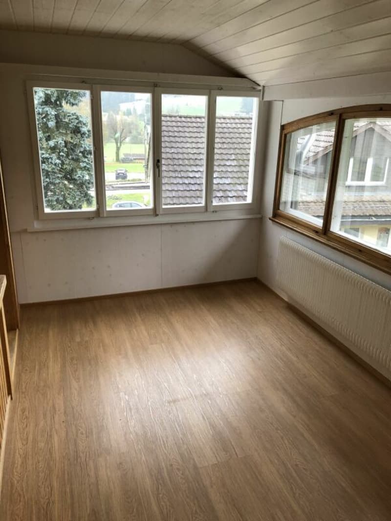 Appartement 3.5 pièces lumineux à louer (5)