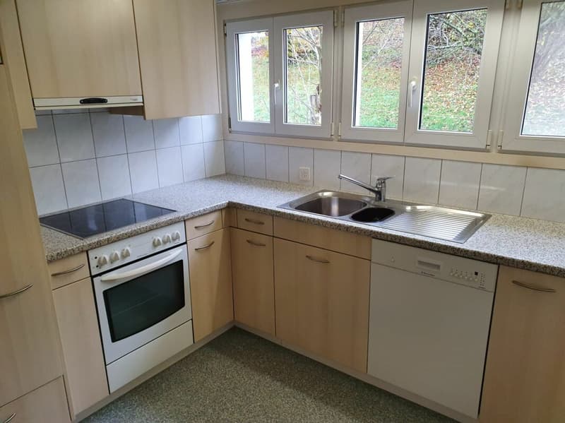 Appartement 3.5 pièces lumineux à louer (2)
