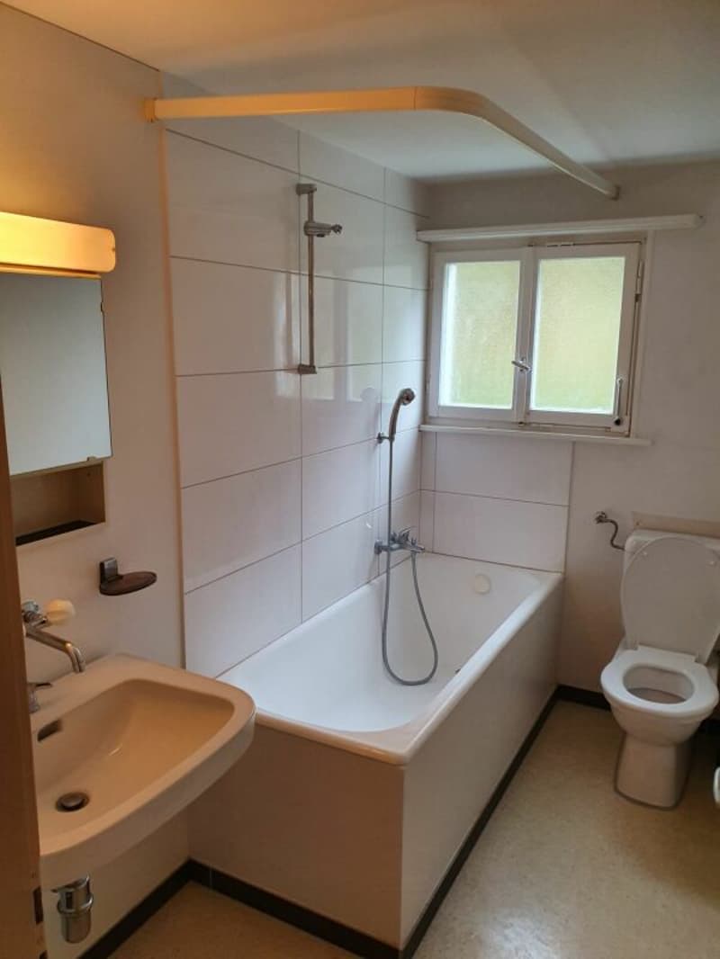 Appartement 3.5 pièces lumineux à louer (4)
