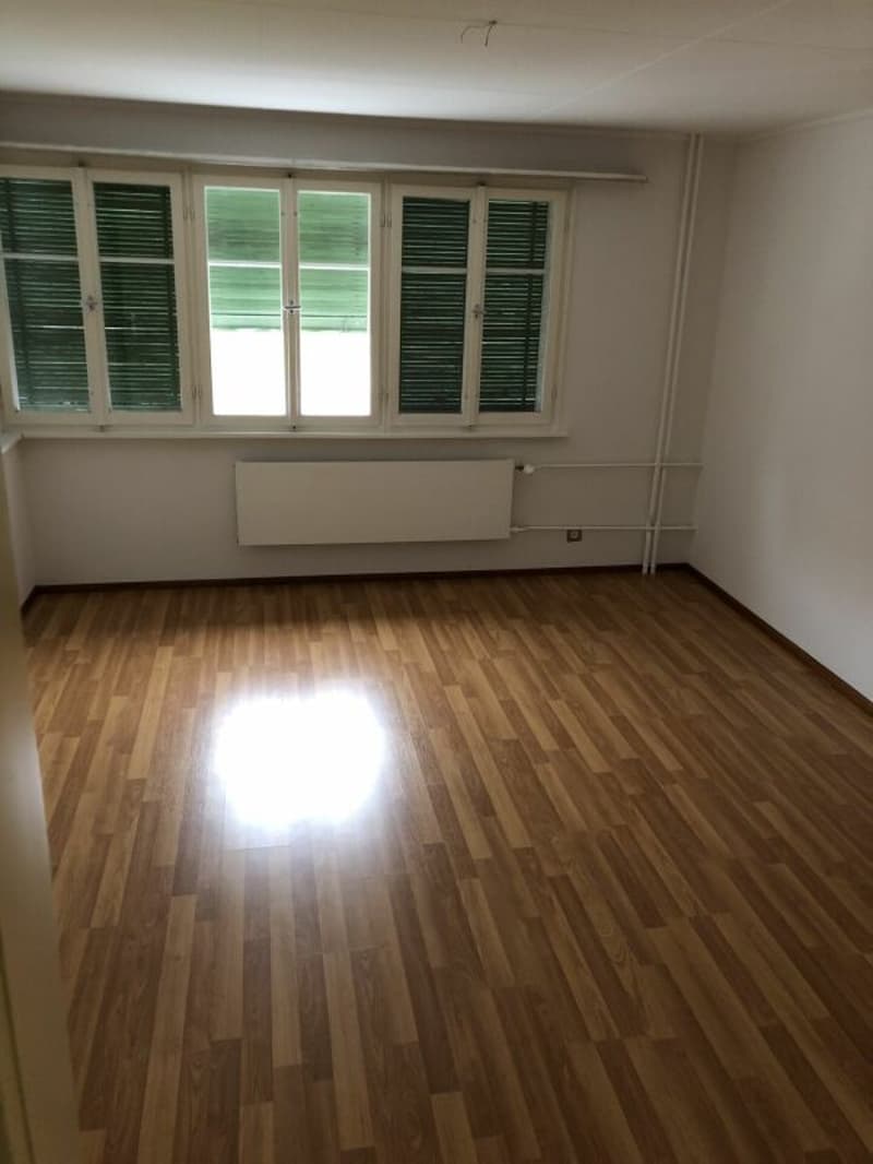 Appartement 3.5 pièces lumineux à louer (3)