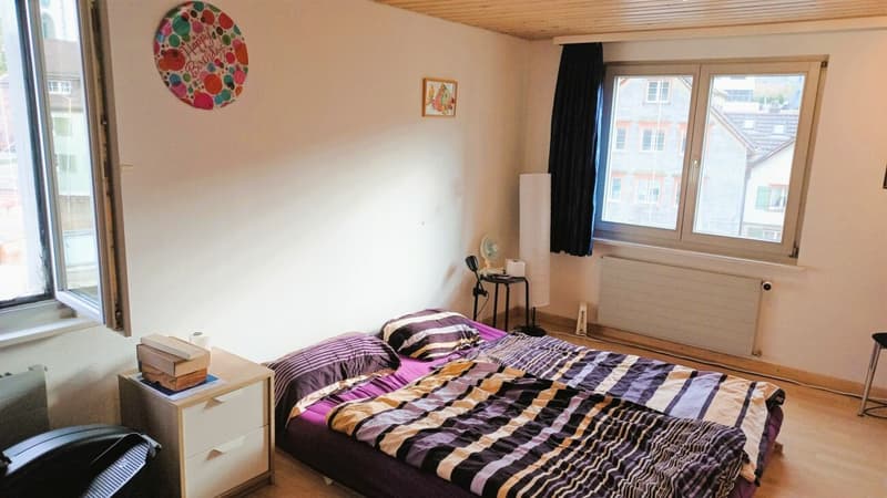 Appartamento luminoso e bello 3.5 locali con balcone in affitto (3)