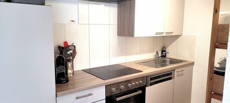 Appartamento accogliente e bello di 3.5 locali in affitto (3)