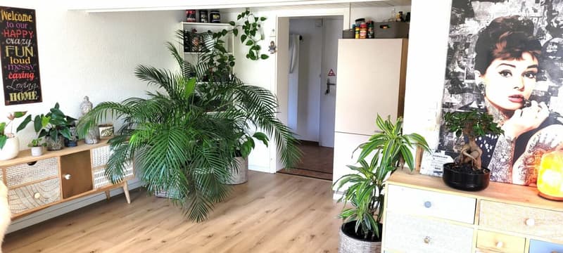 Appartamento accogliente e bello di 3.5 locali in affitto (5)