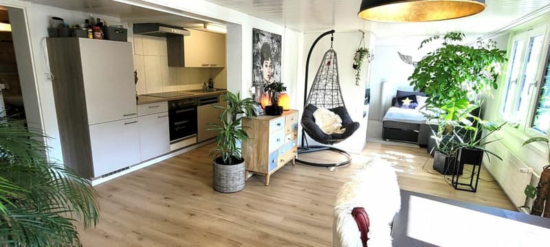 Appartamento accogliente e bello di 3.5 locali in affitto (2)