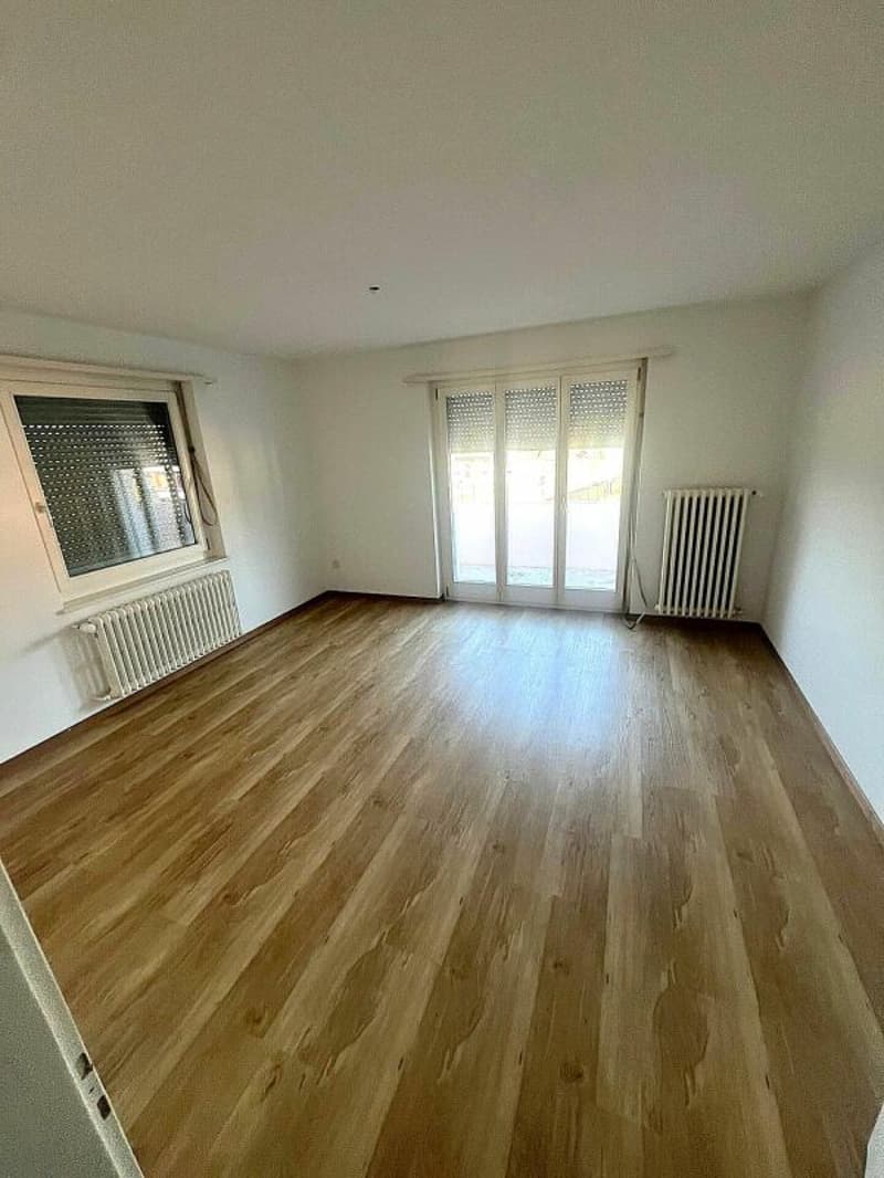 Appartement de 3 pièces lumineux à louer (3)