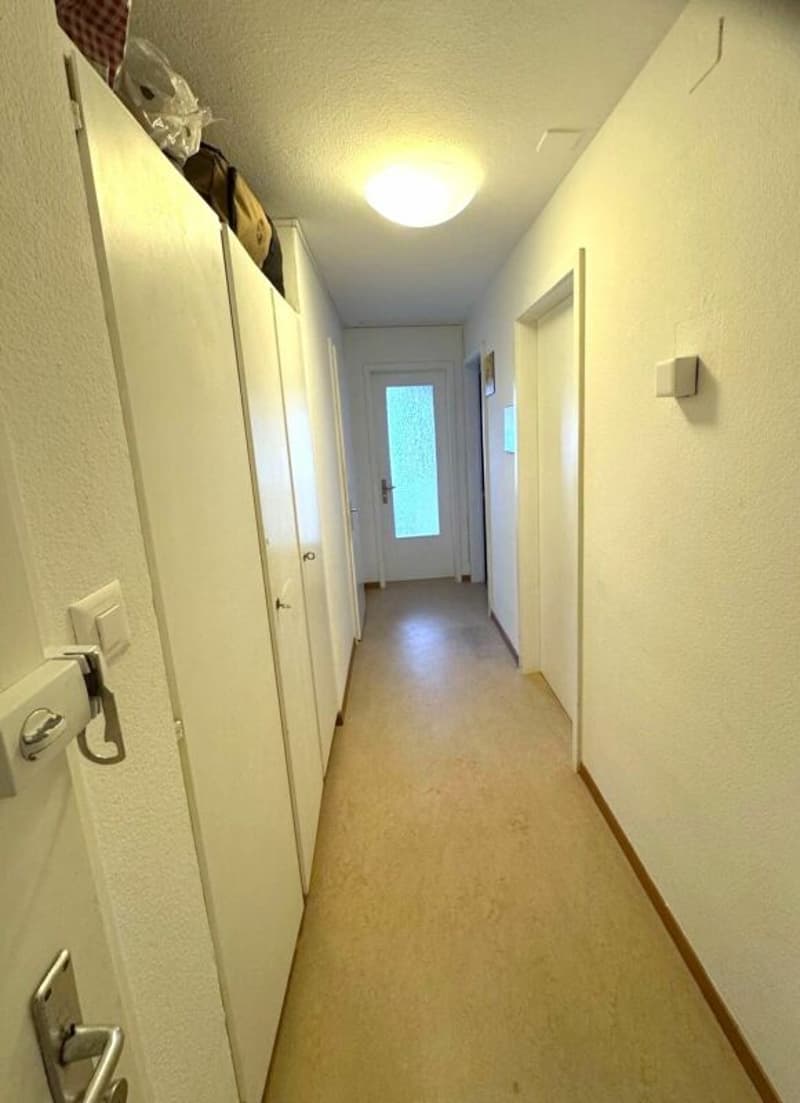 Appartement de 3 pièces lumineux à louer (5)