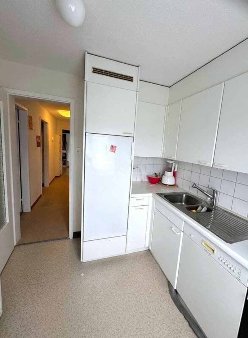 Appartement de 3 pièces lumineux à louer (4)
