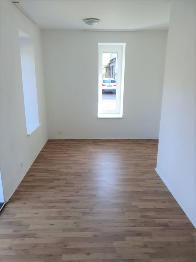 Appartamento 2.5 locali luminoso (5)