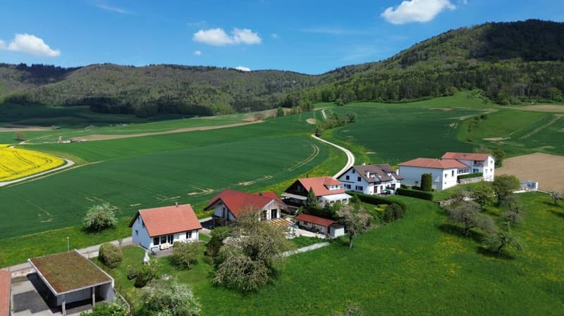 Detached single-family house in an idyllic location (1)