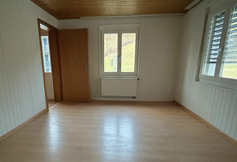 Ampio appartamento di 4,5 locali in affitto (5)
