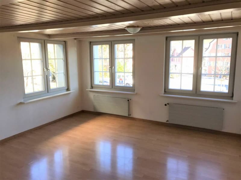 Appartamento accogliente 2,5 locali con balcone (3)