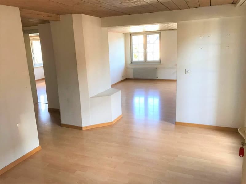 Appartamento accogliente 2,5 locali con balcone (2)