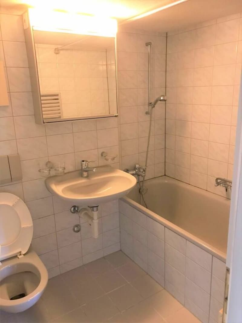 Appartamento accogliente 2,5 locali con balcone (7)