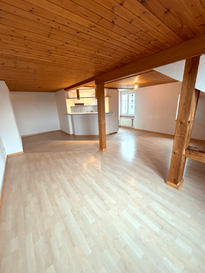 Appartement spacieux de 4,5 pièces (2)