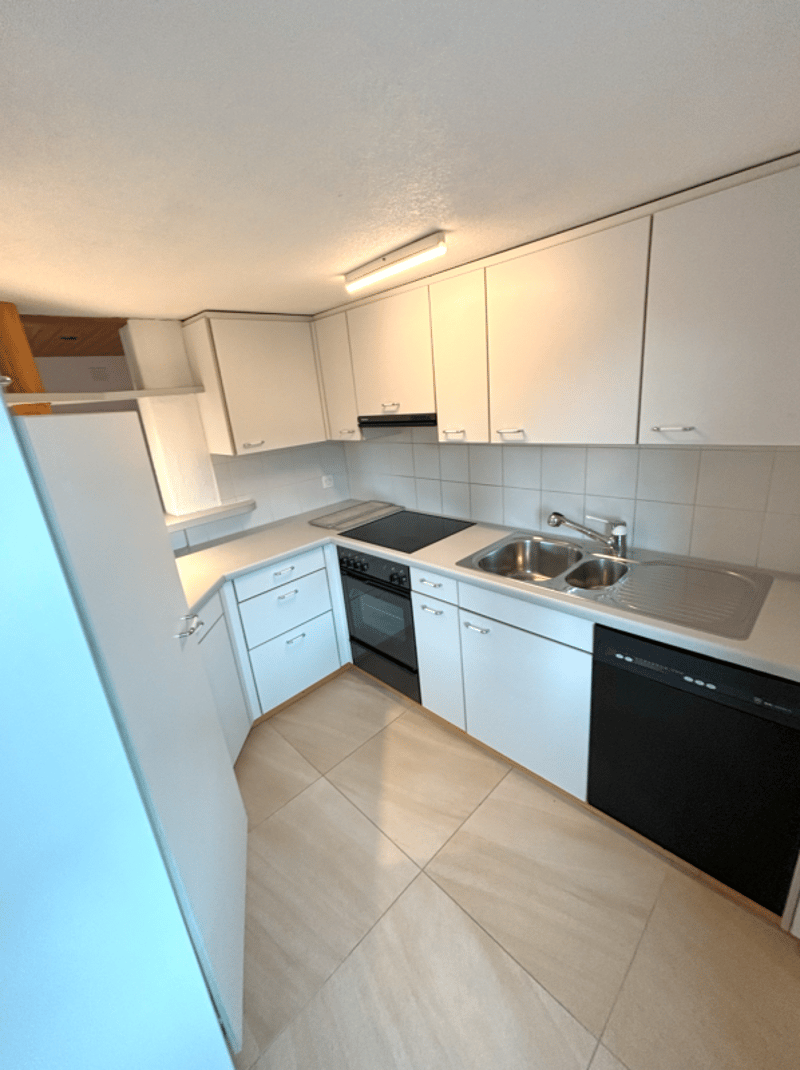 Appartement spacieux de 4,5 pièces (3)