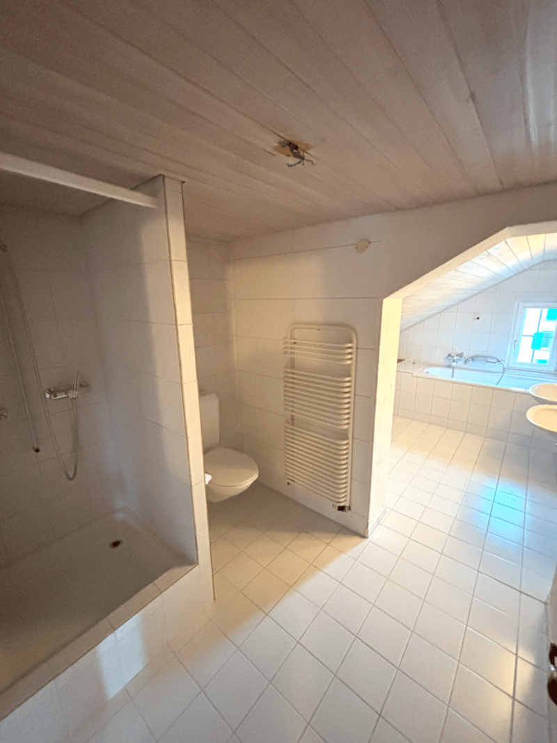 Appartement spacieux de 4,5 pièces (9)