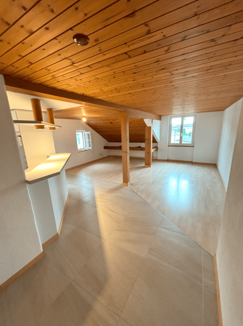 Appartement spacieux de 4,5 pièces (1)