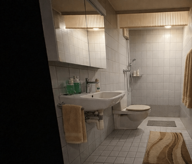 Appartement lumineux 1.5 pièces avec un siège dans le jardin (3)