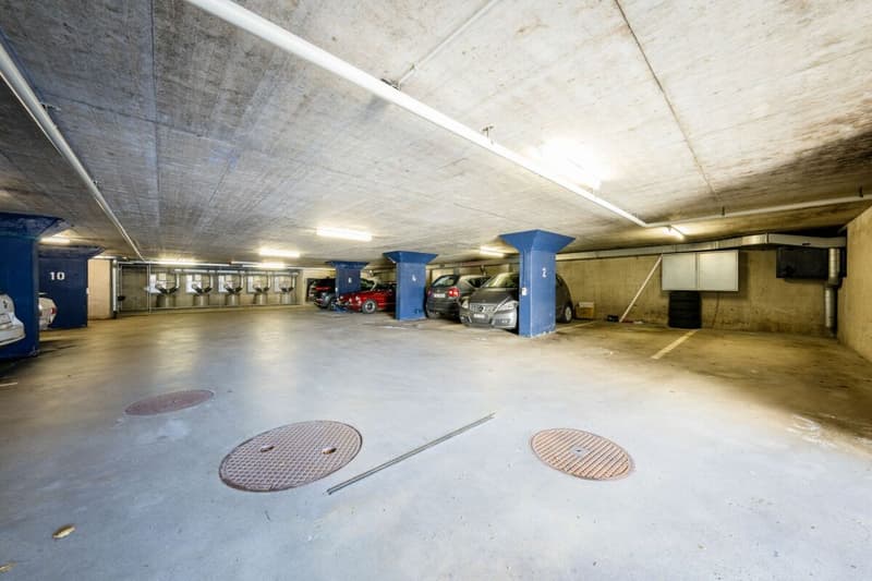 Appartement lumineux 1.5 pièces avec un siège dans le jardin (8)