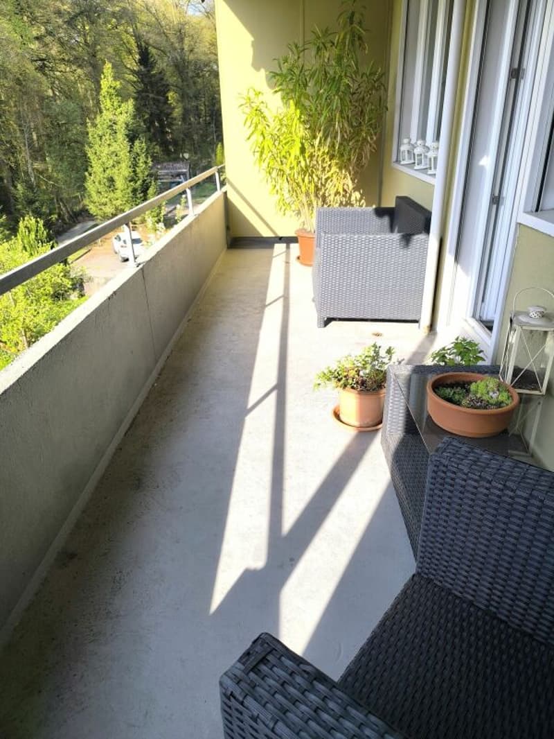 Bright 3.5-room apartment with balcony (3)