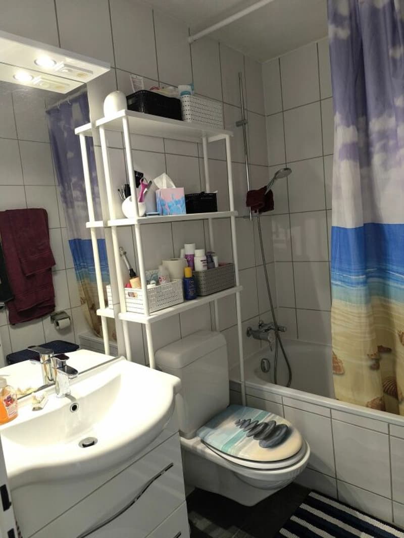 Bright 3.5-room apartment with balcony (6)