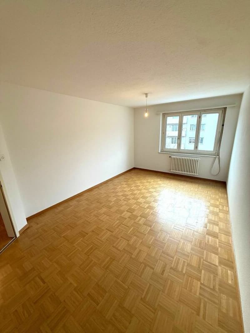 Helle 3.0 Zi-Wohnung zu vermieten (3)