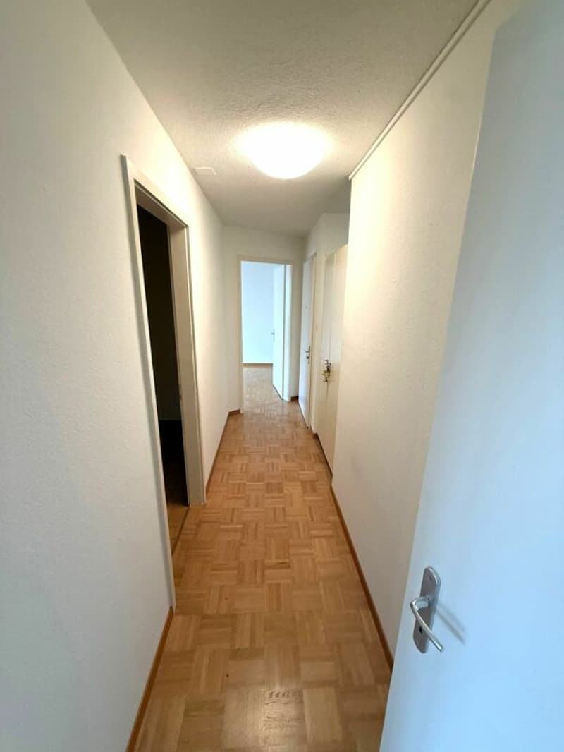 Helle 3.0 Zi-Wohnung zu vermieten (6)