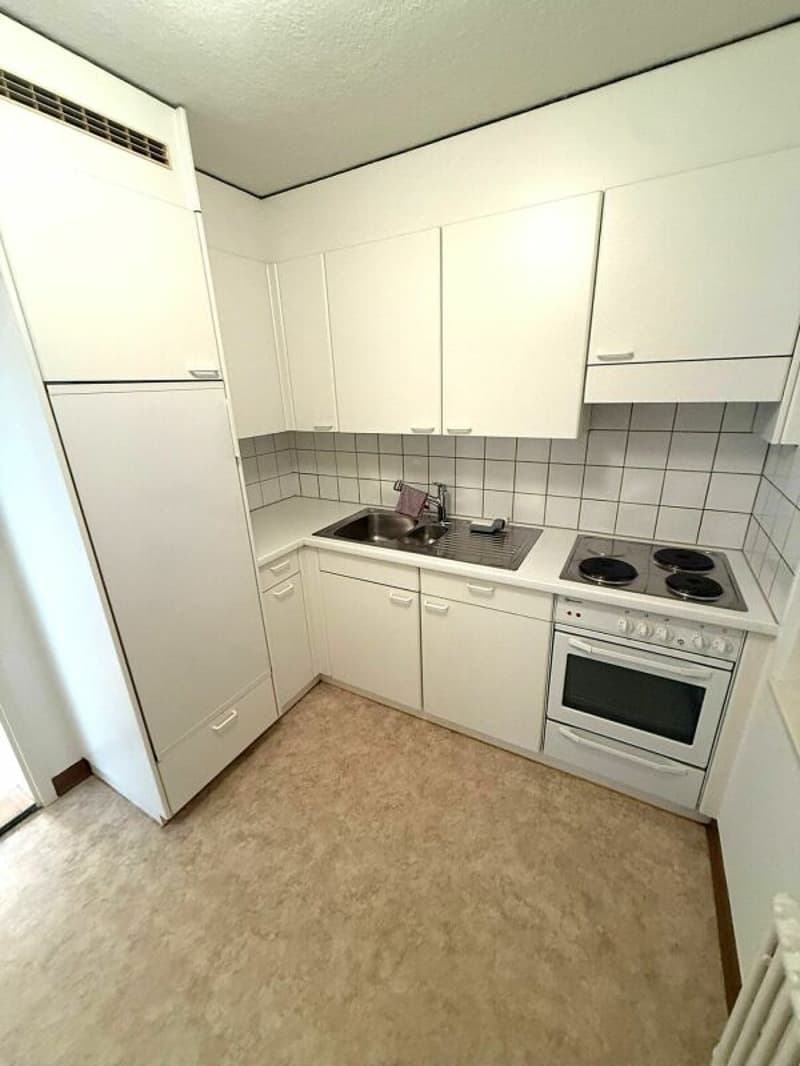 Helle 3.0 Zi-Wohnung zu vermieten (4)
