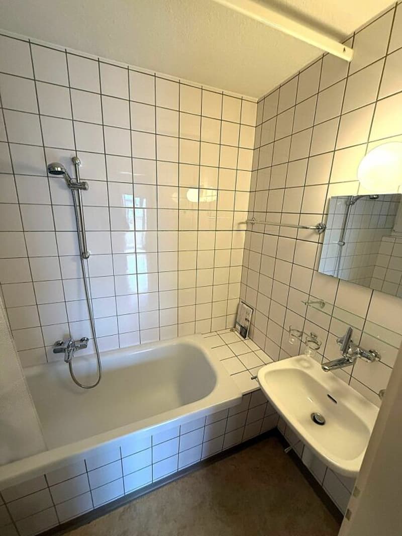 Helle 3.0 Zi-Wohnung zu vermieten (5)