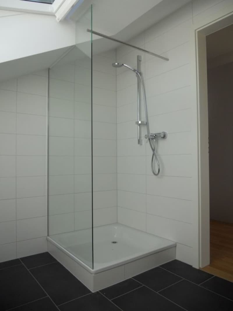 Attraktive 2.5-Zi-Dachwohnung mit grossem Balkon (6)