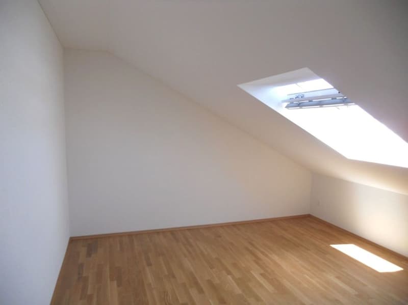 Attraktive 2.5-Zi-Dachwohnung mit grossem Balkon (3)
