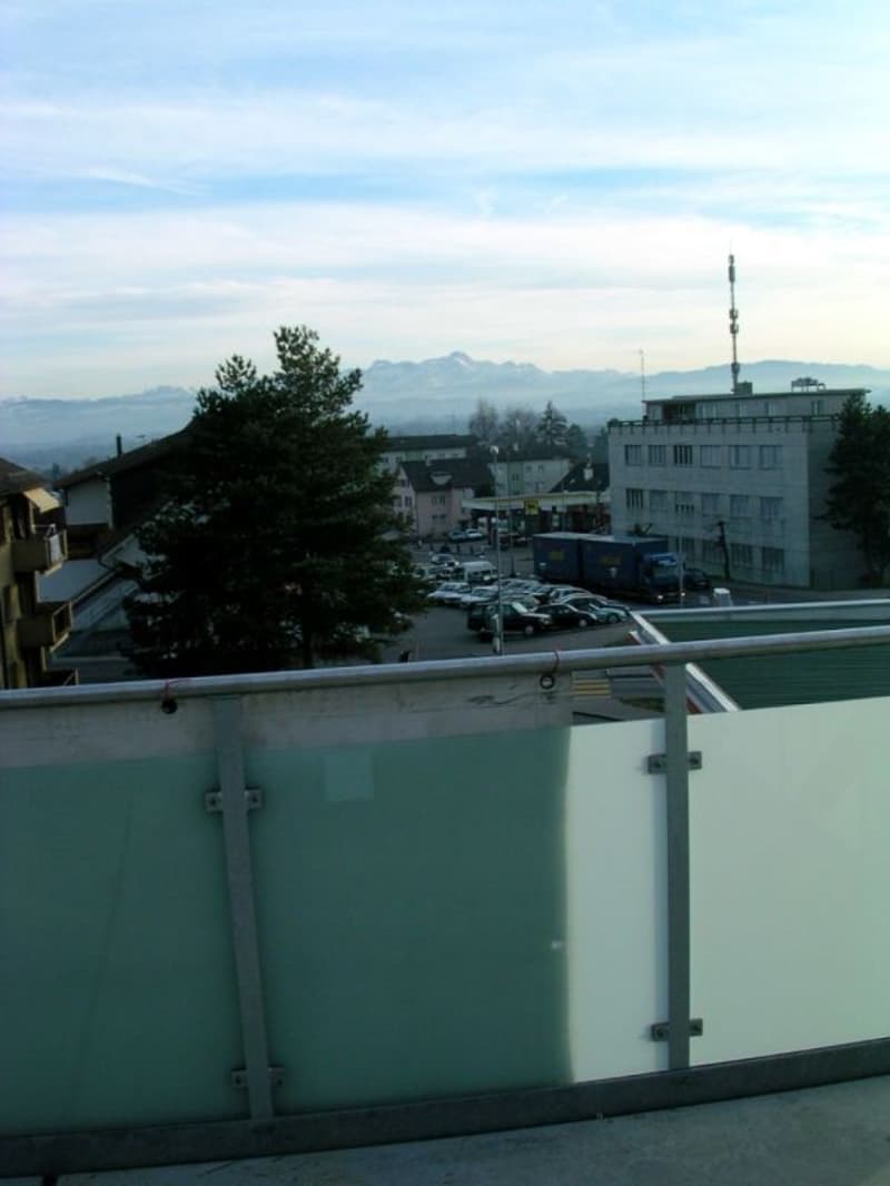 Attraktive 2.5-Zi-Dachwohnung mit grossem Balkon (11)