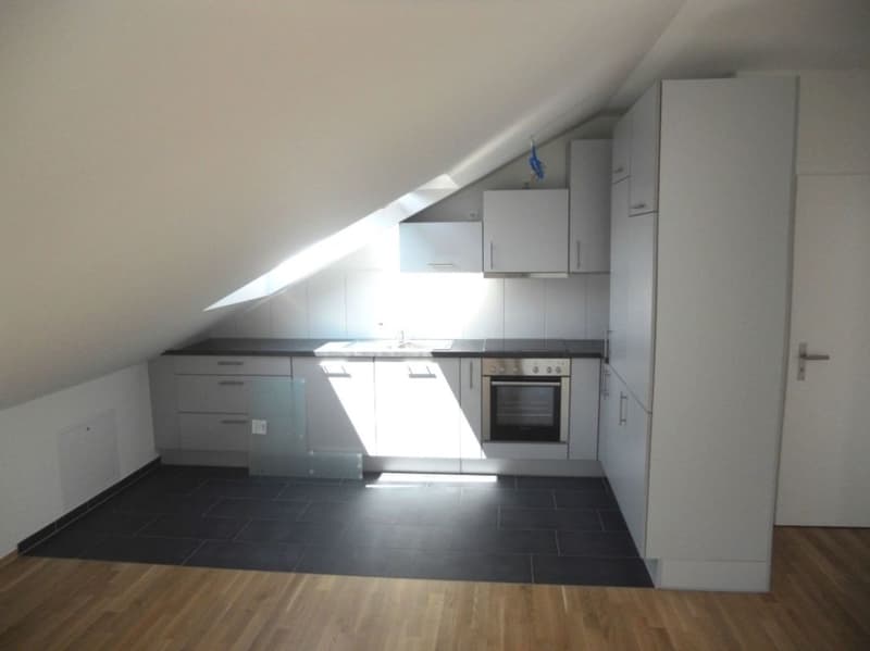 Attraktive 2.5-Zi-Dachwohnung mit grossem Balkon (2)