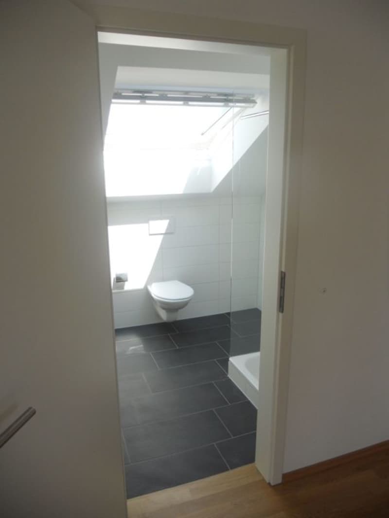 Attraktive 2.5-Zi-Dachwohnung mit grossem Balkon (5)