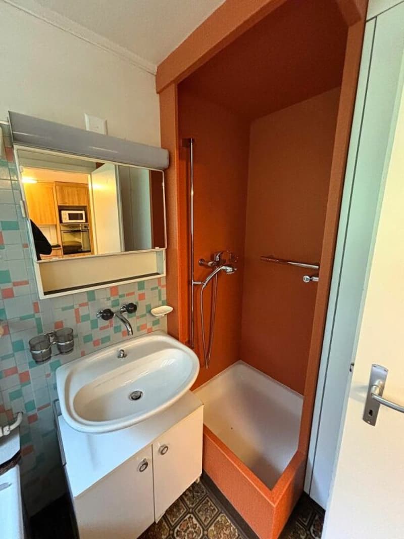 Helle 4.5-Zimmer Wohnung zu vermieten (5)
