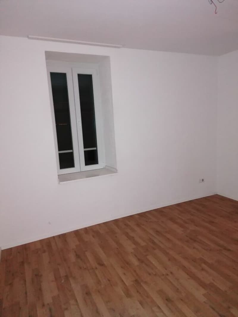 Geräumige 2.5 Zi Wohnung zu vermieten (4)
