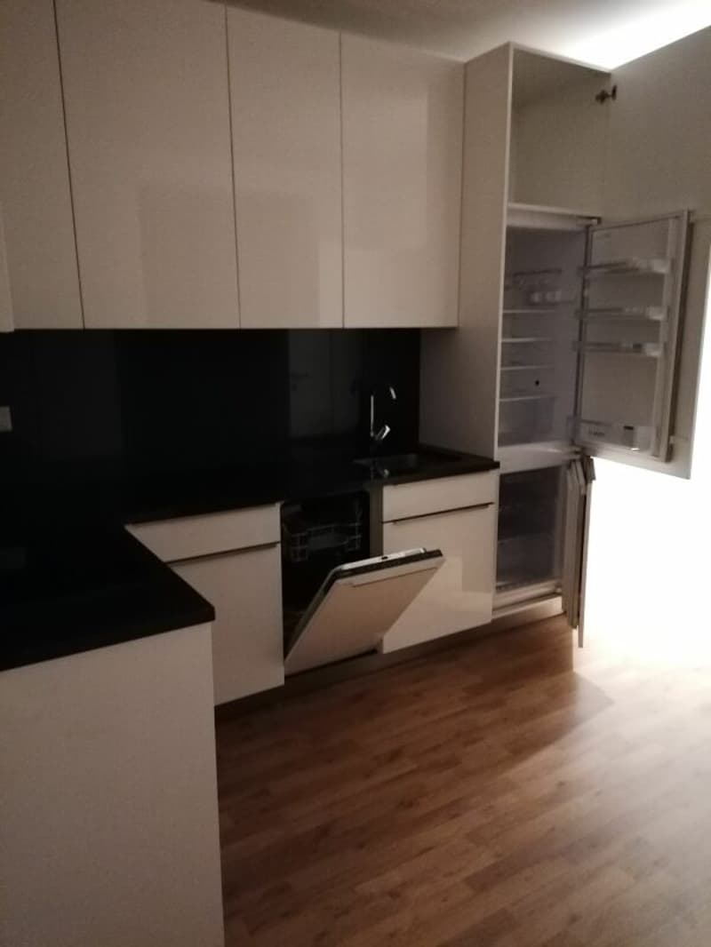 Geräumige 2.5 Zi Wohnung zu vermieten (2)