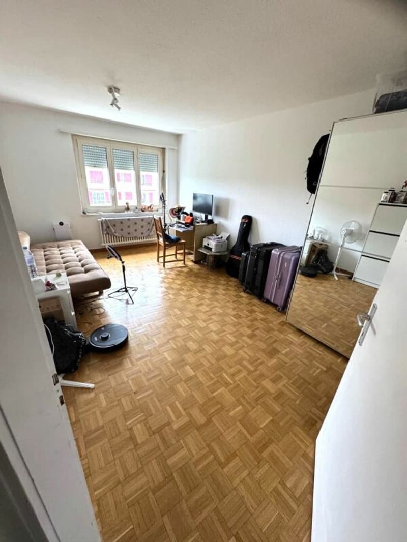 Bright 3.0 room apartment for rent (3)