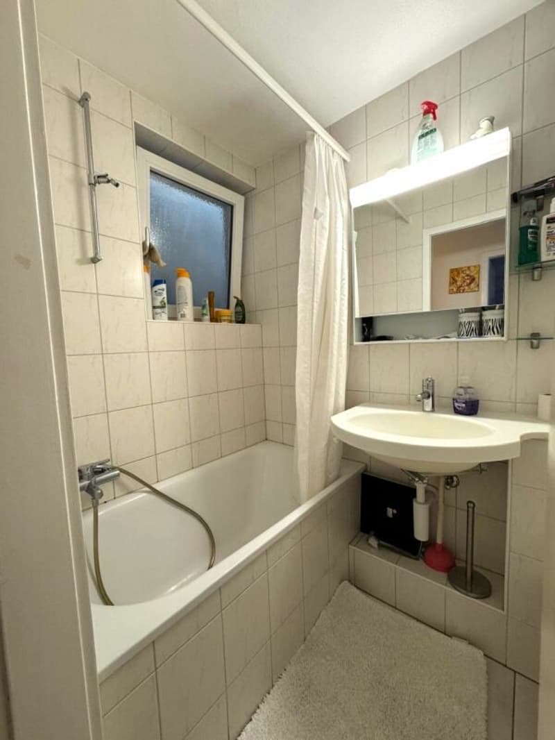 Bright 3.0 room apartment for rent (8)