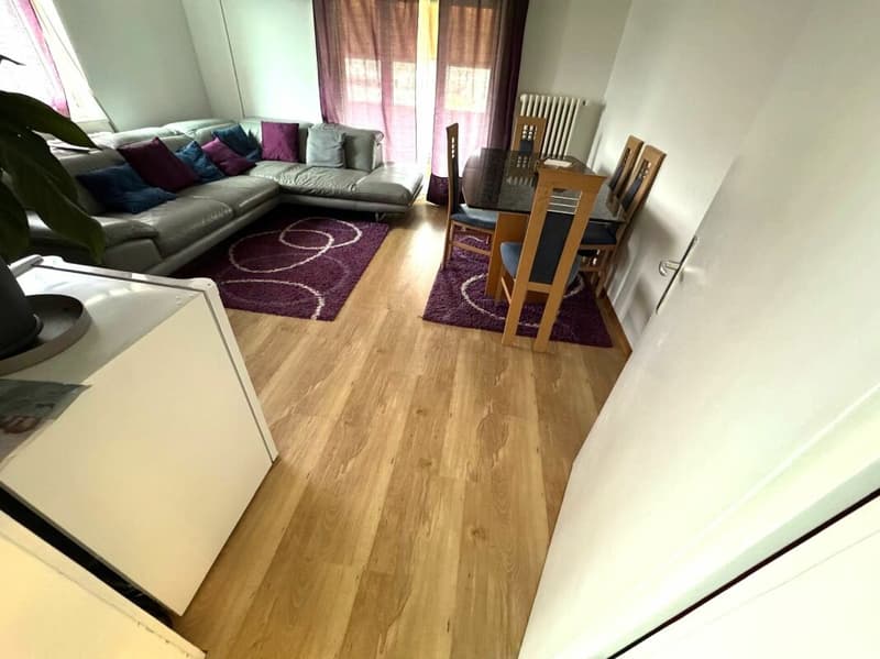 Bright 3.0 room apartment for rent (2)