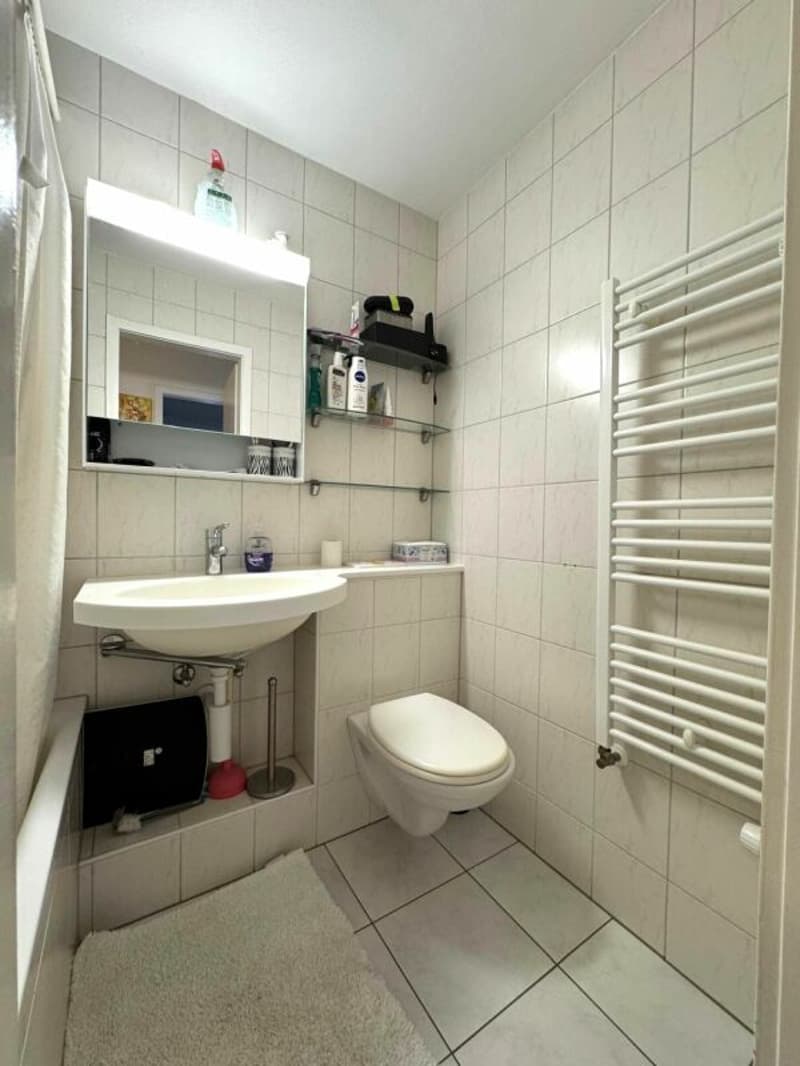 Bright 3.0 room apartment for rent (7)