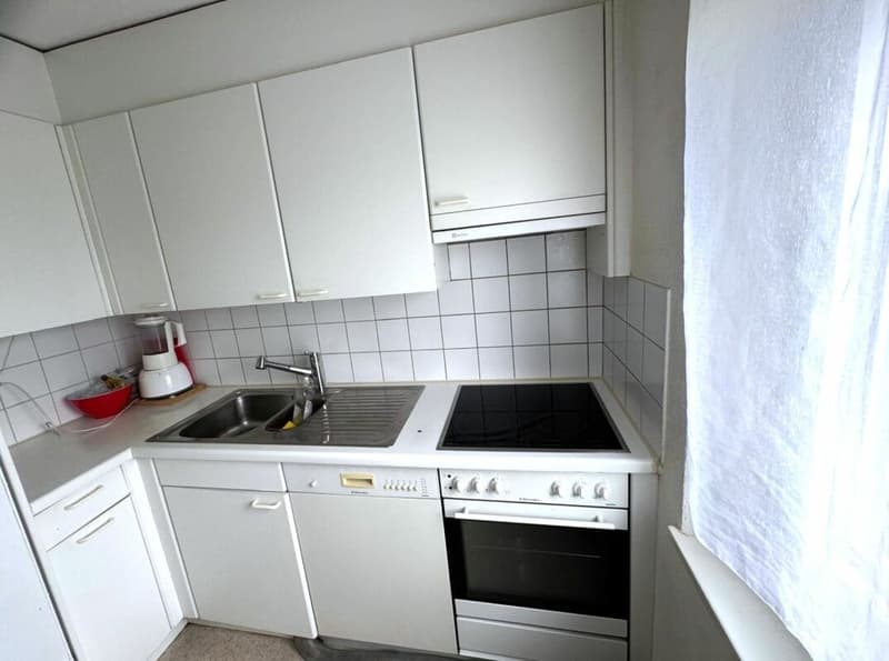 Bright 3.0 room apartment for rent (6)